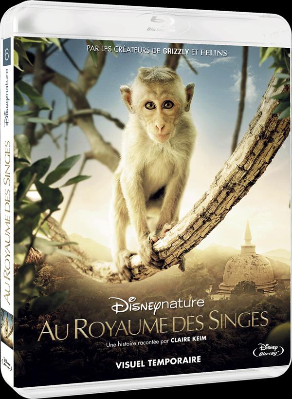 Au Royaume des Singes [Blu-ray] - flash vidéo