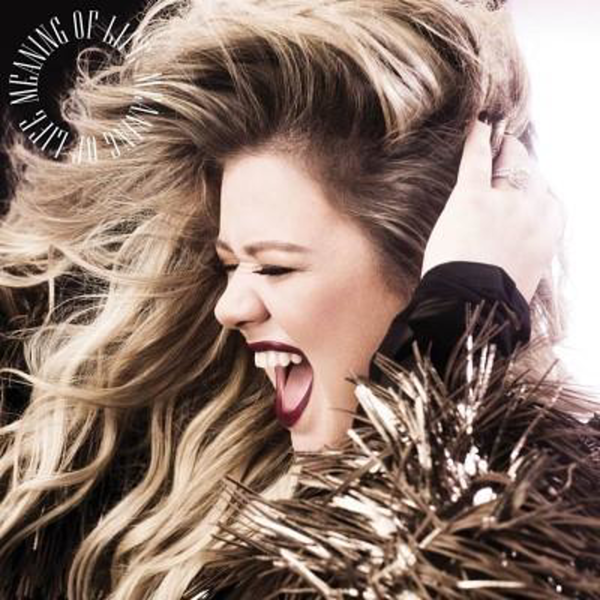 KELLY CLARKSON, Meaning of Life