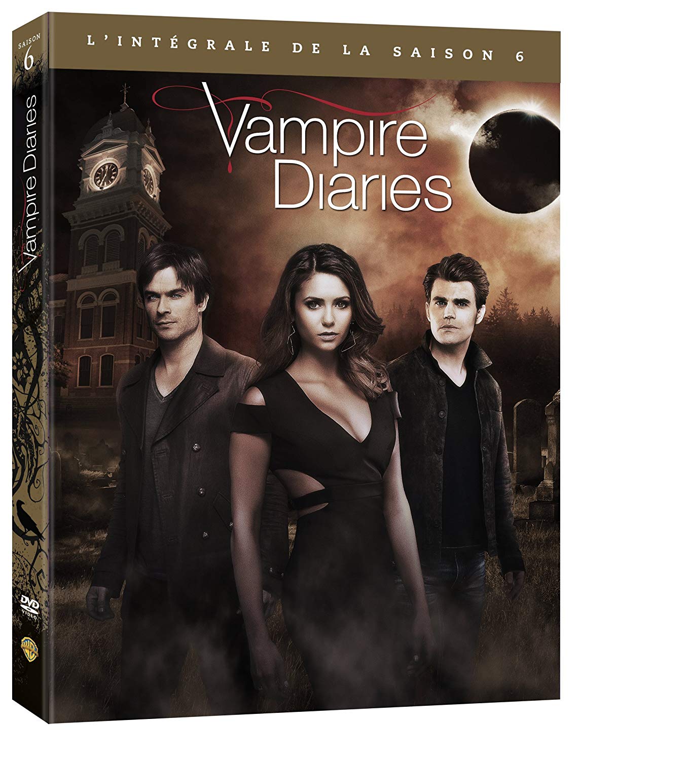 Vampire Diaries - Saison 6 [DVD à la location]