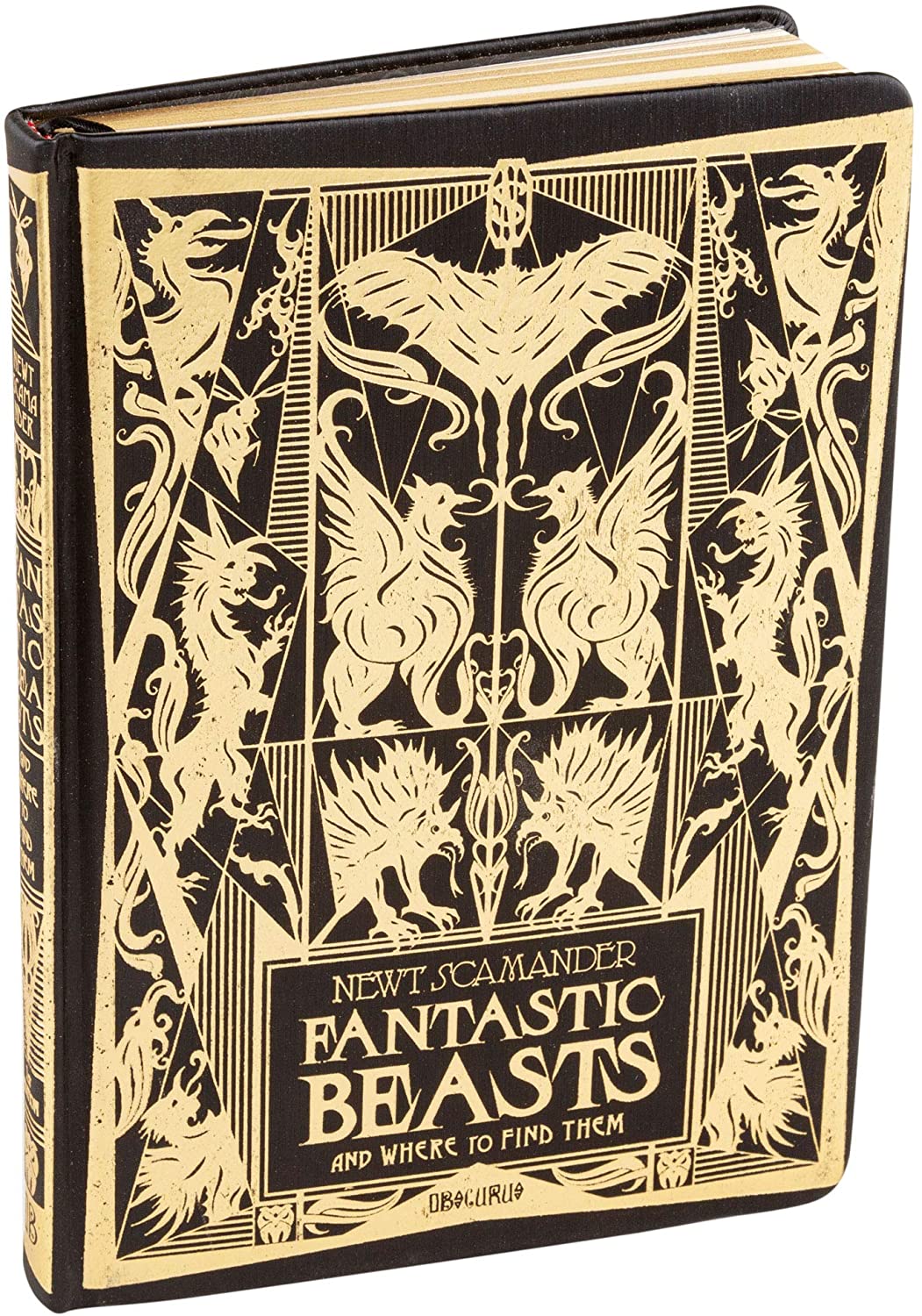 Fantastic Beasts: The Crimes Of Grindelwald - Fantastic Beasts A5 Premium Notebook - flash vidéo