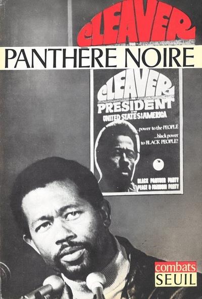 Panthère noire - flash vidéo