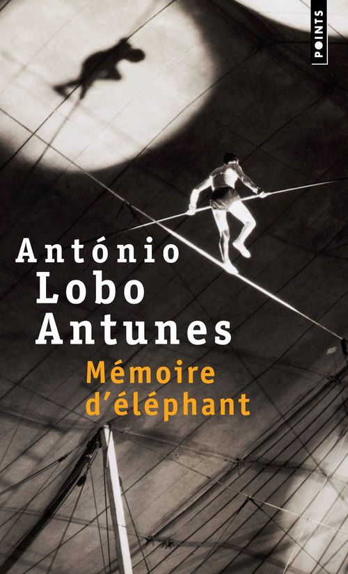 Memoire d'elephant - flash vidéo