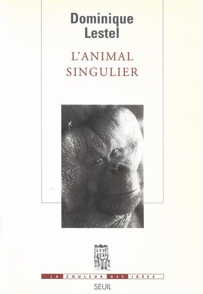 L'animal singulier - flash vidéo