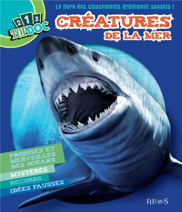 Créatures de la mer - flash vidéo
