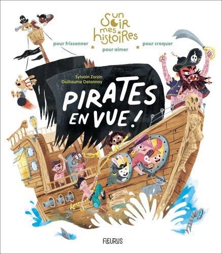 Pirates en vue ! - flash vidéo