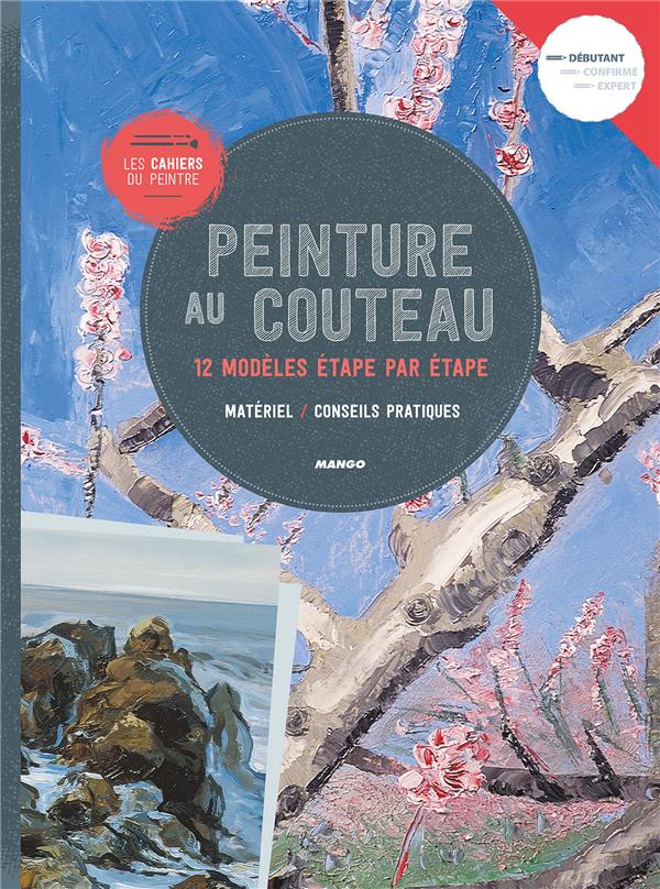 Les cahiers du peintre : peinture au couteau ; 12 modèles étape par étape - flash vidéo
