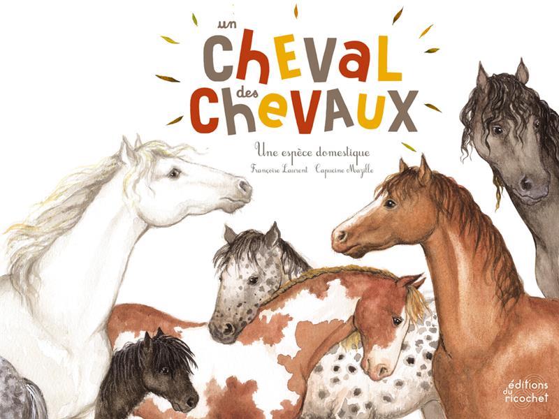 Un cheval des chevaux : une espèce domestique - flash vidéo