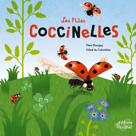Les p'tites coccinelles ; la vie d'un coléoptère - flash vidéo
