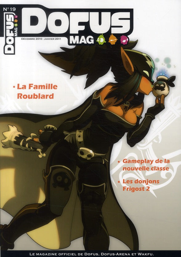 Décembre 2010-janvier 2011 - flash vidéo