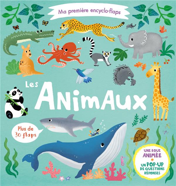 Ma première encyclo-flaps ; les animaux - flash vidéo