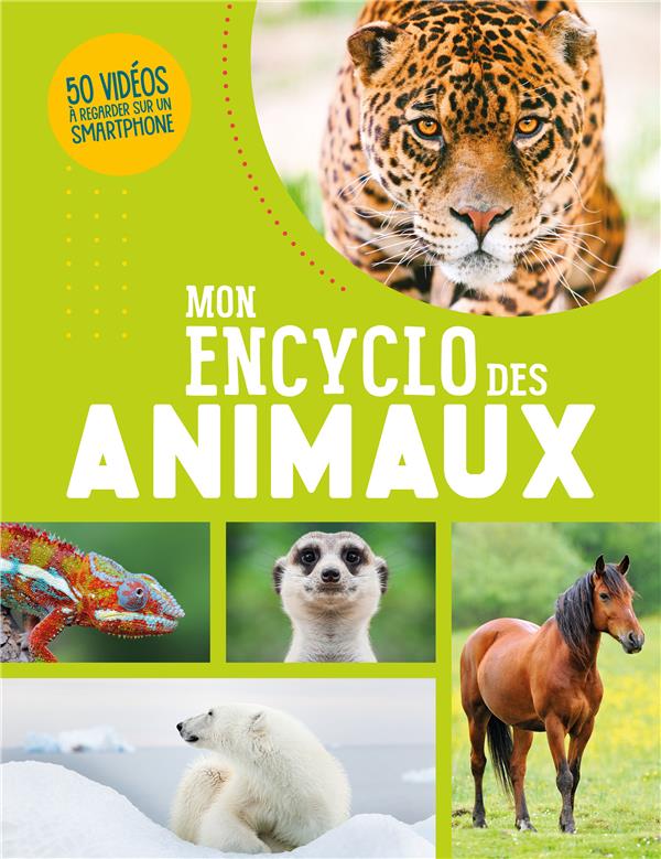 Mon encyclo des animaux - flash vidéo