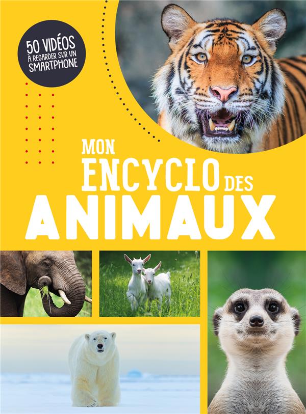 Mon encyclo des animaux - flash vidéo