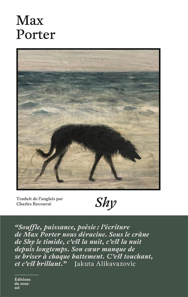 Shy - flash vidéo