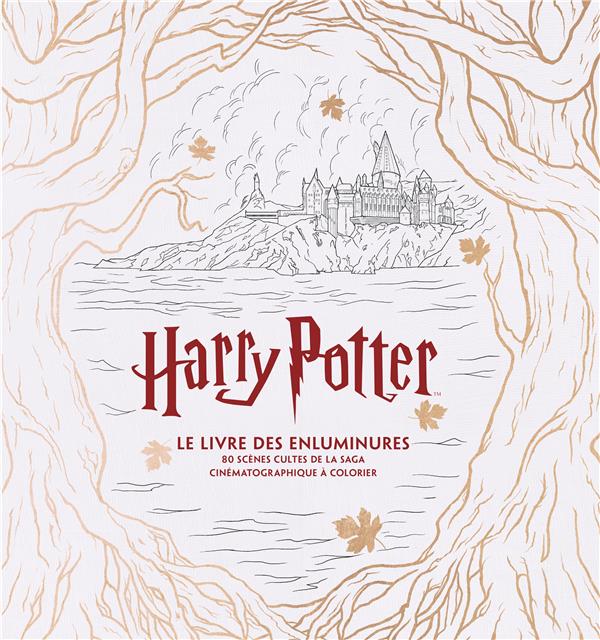 Harry Potter : le livre des enluminures ; 80 scènes cultes de la saga cinématographique à colorier