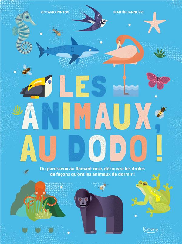 Les animaux, au dodo ! du paresseux au flamant rose, découvre les drôles de façons qu'ont les animaux de dormir ! - flash vidéo