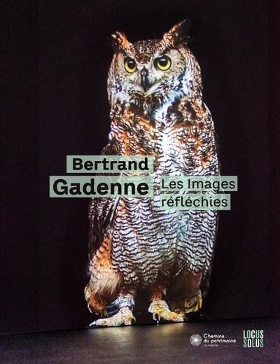 Les images réfléchies - flash vidéo