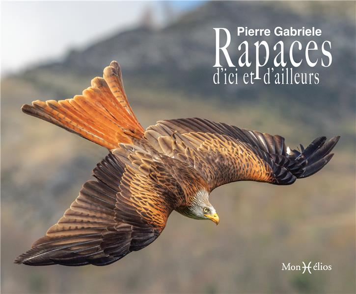 Rapaces - flash vidéo