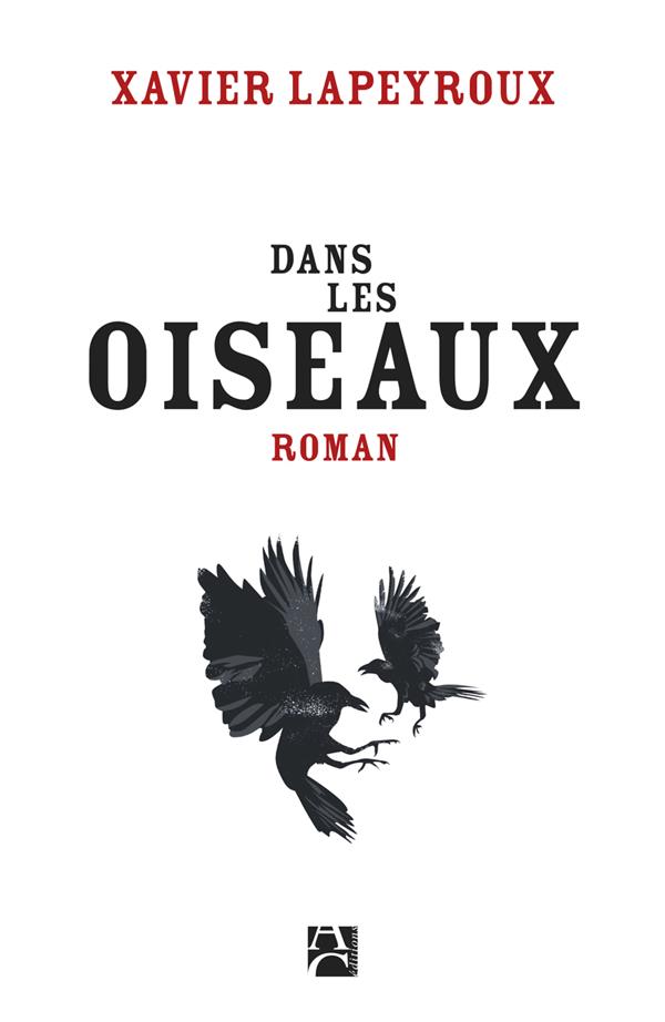 Dans les oiseaux - flash vidéo