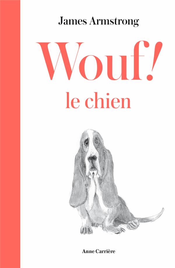 Wouf ! le chien - flash vidéo