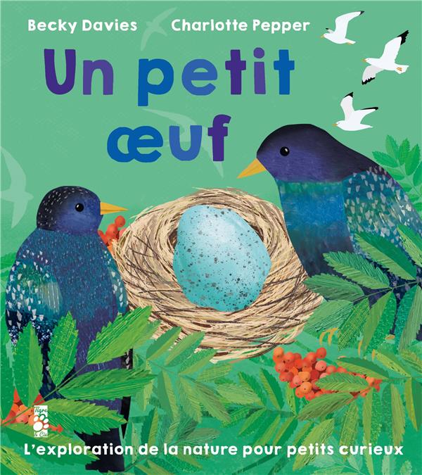 Un petit oeuf - flash vidéo