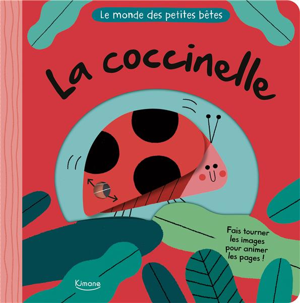 Le monde des petites bêtes : la coccinelle - flash vidéo
