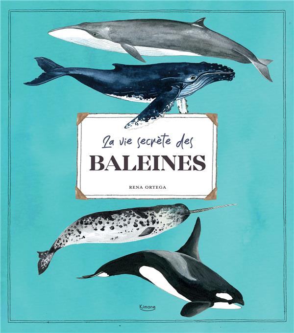 La vie secrète des baleines - flash vidéo