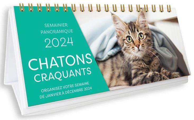 Semainier panoramique : chatons craquants (édition 2024)