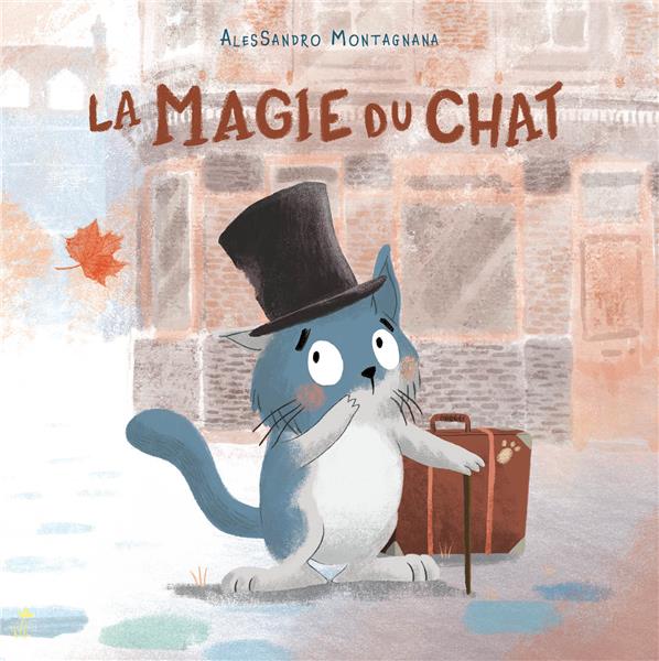 La magie du chat - flash vidéo