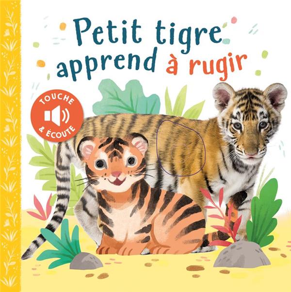 Petit tigre apprend à rugir - flash vidéo