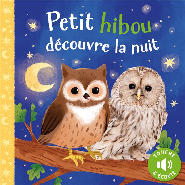 Petit Hibou découvre la nuit - flash vidéo