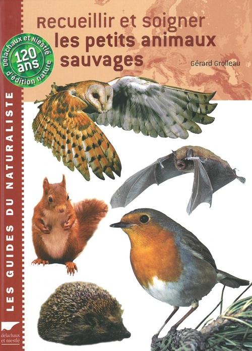 Recueillir et soigner les petits animaux sauvages - flash vidéo