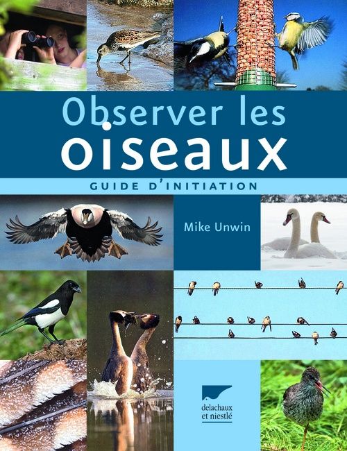 Observer les oiseaux ; un guide d'initiation - flash vidéo