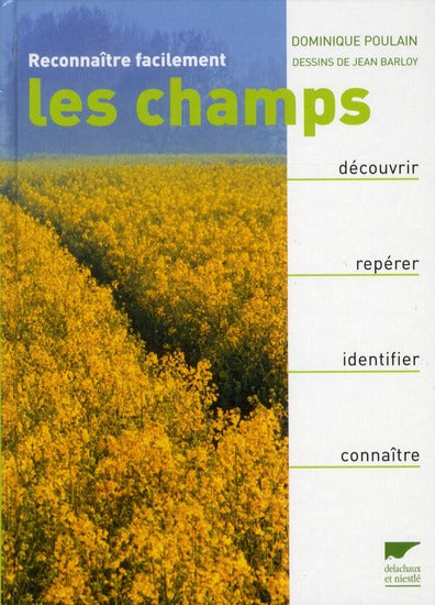 Reconnaître facilement les champs - flash vidéo