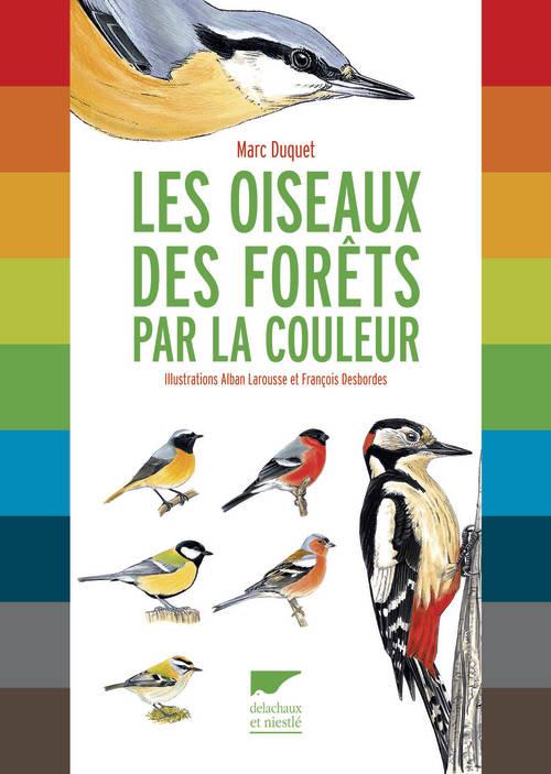 Les oiseaux des forêts par la couleur - flash vidéo