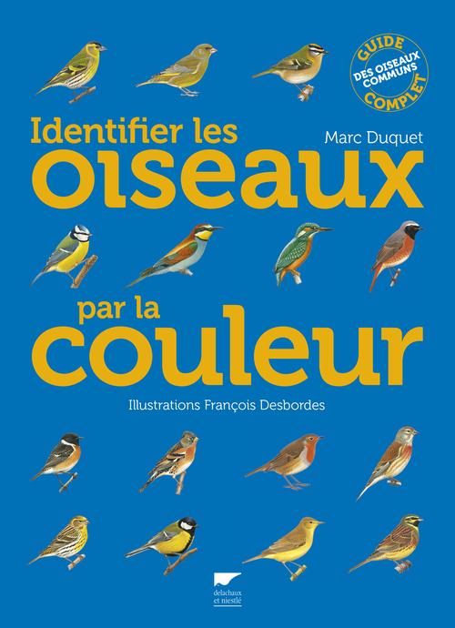 Identifier les oiseaux par la couleur - flash vidéo