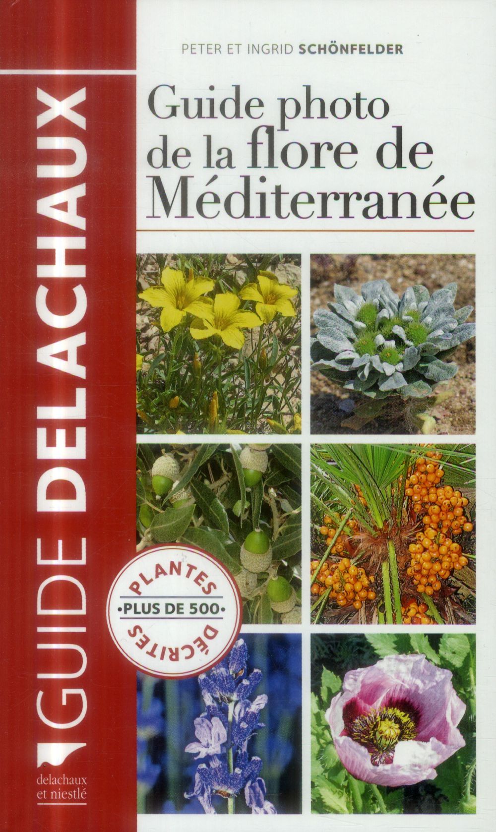 Guide photo de la flore de méditerranée - flash vidéo