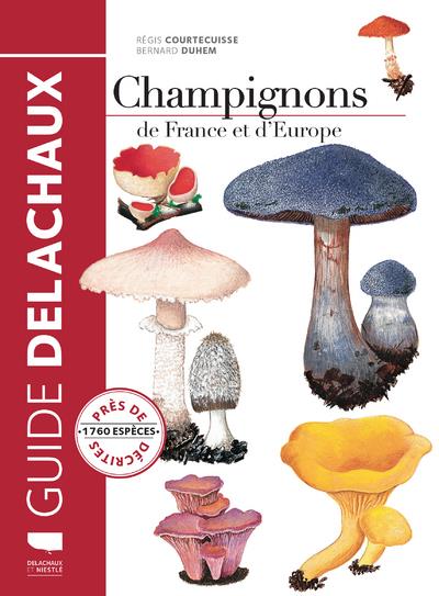 Champignons de France et d'Europe - flash vidéo