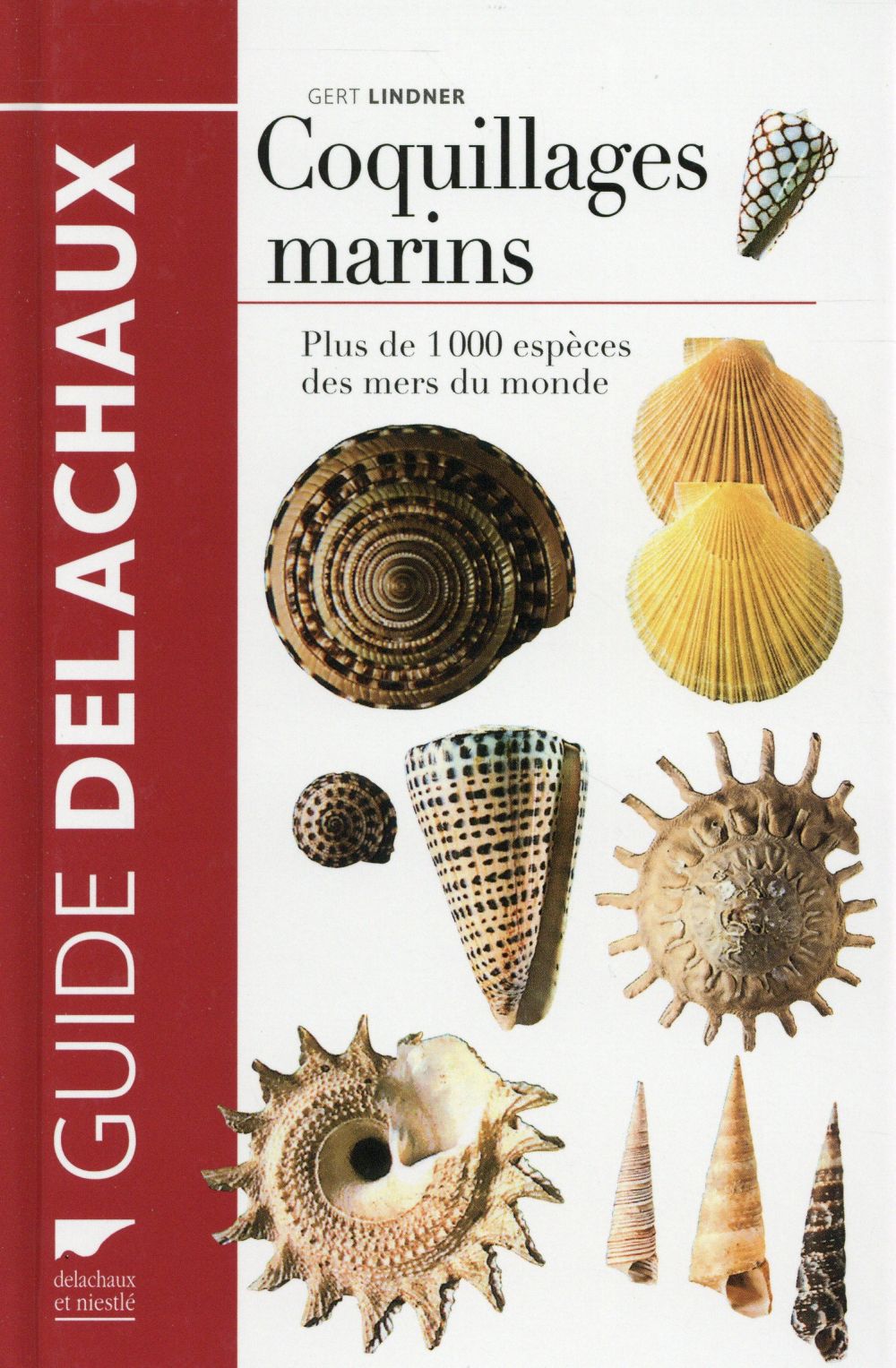 Coquillages marins ; plus de 1000 espèces des mers du monde - flash vidéo