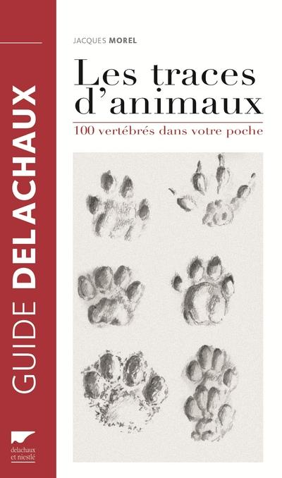 Traces d'animaux ; 100 vertébrés dans votre poche - flash vidéo