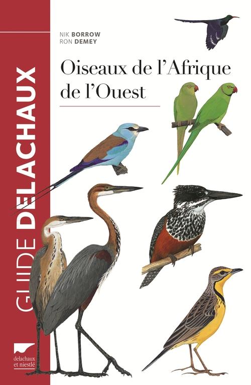 Oiseaux de l'Afrique de l'Ouest - flash vidéo