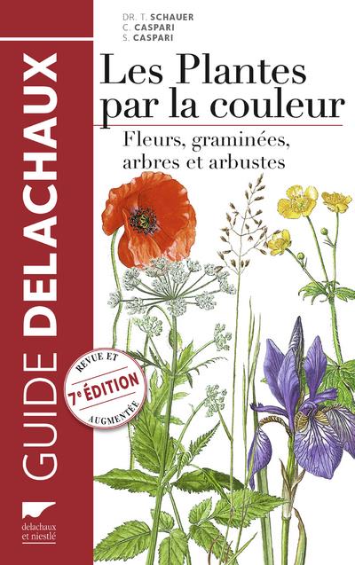 Les plantes par la couleur ; fleurs, graminées, arbres et arbustes - flash vidéo
