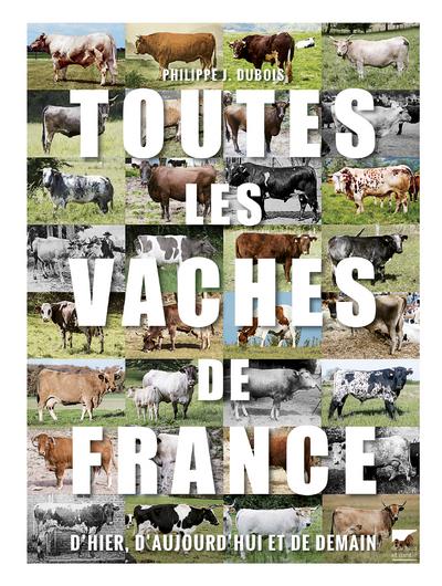 Toutes les vaches de France : d'hier, d'aujourd'hui et de demain - flash vidéo