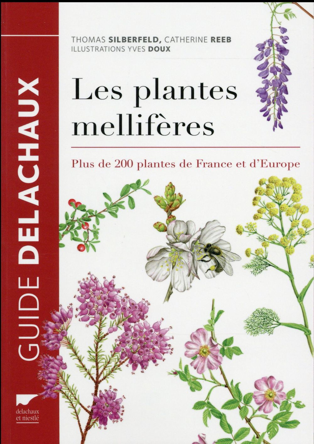 Les plantes mellifères ; plus de 200 plantes de France et d'Europe - flash vidéo