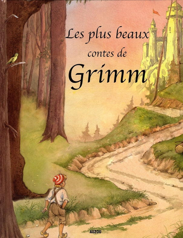 Les plus beaux contes de Grimm - flash vidéo