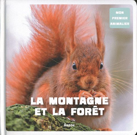 La montagne et forêt - flash vidéo