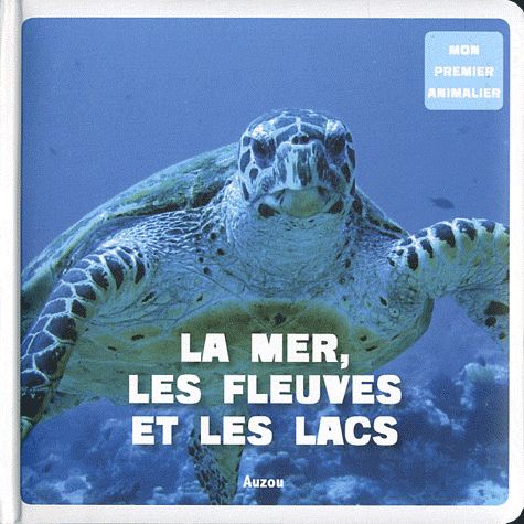 La mer, les fleuves et les lacs - flash vidéo