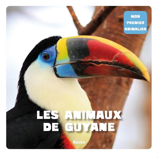 Les animaux de Guyane - flash vidéo