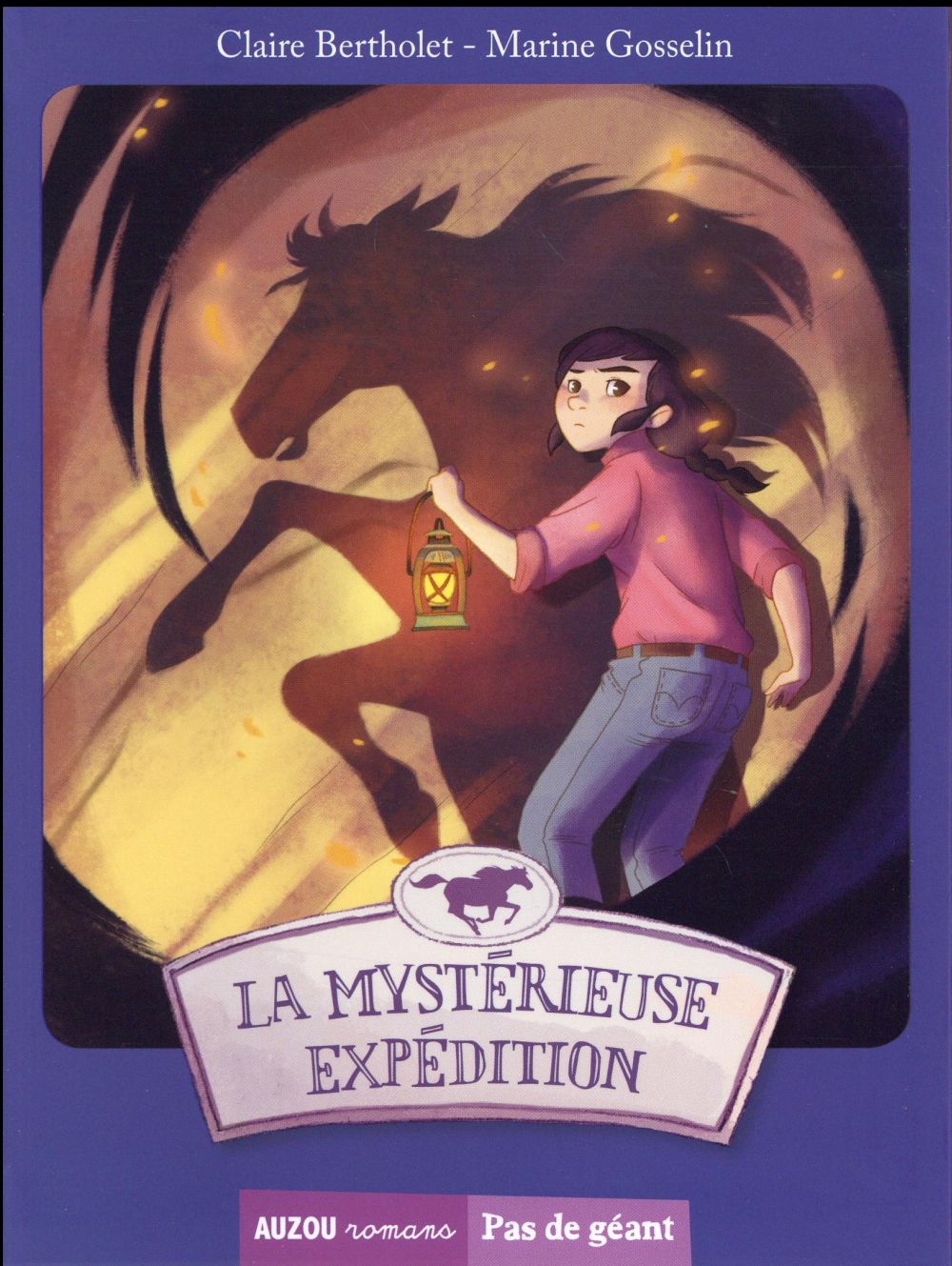 Les aventures d'Esther et Colin Tome 3 : la mystérieuse expédition - flash vidéo