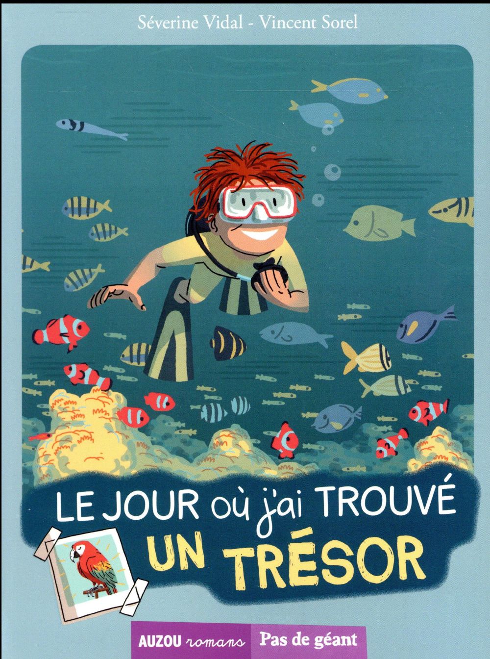 Le jour ou j'ai trouvé un trésor - flash vidéo