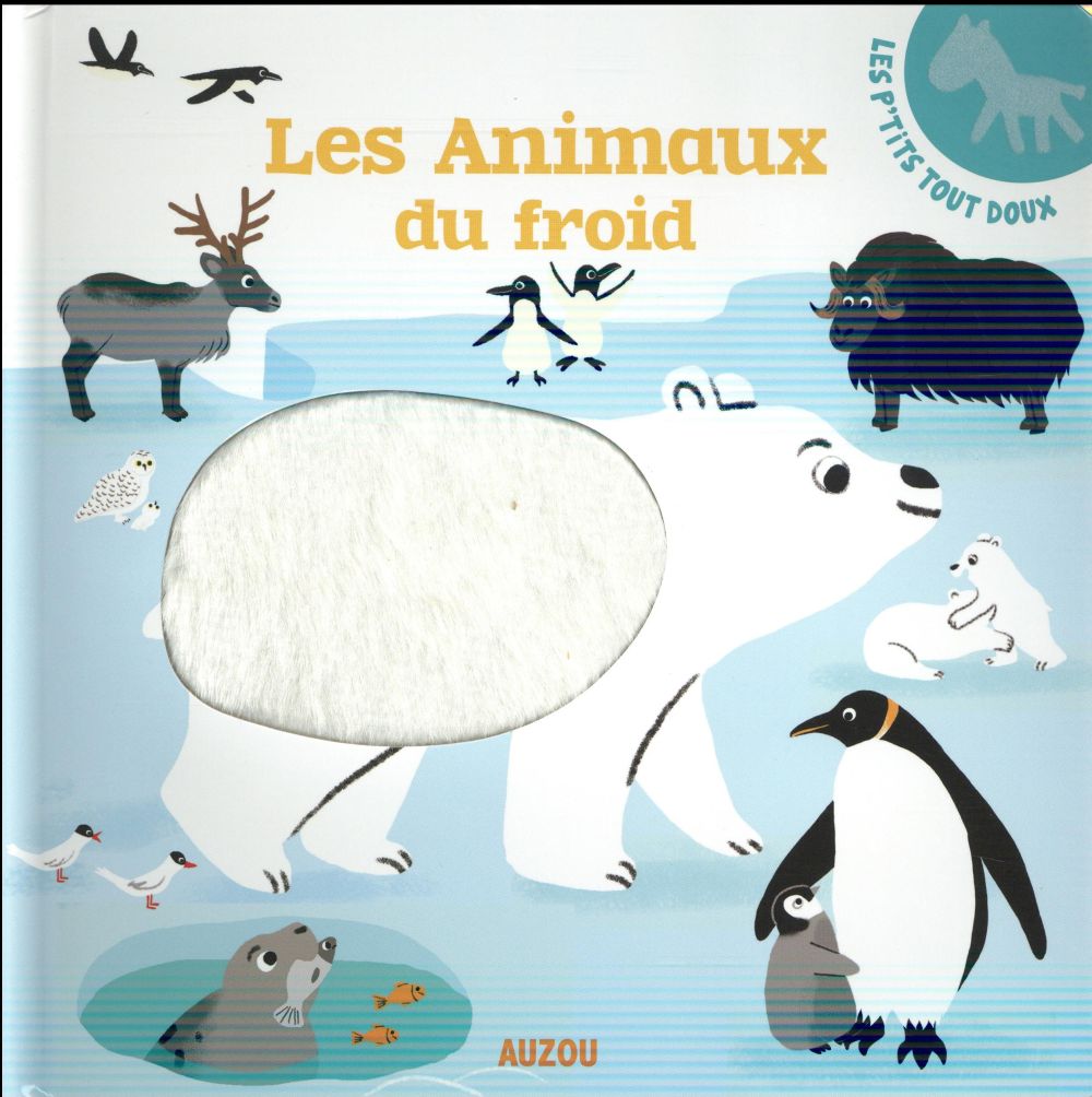 Les animaux du froid - flash vidéo